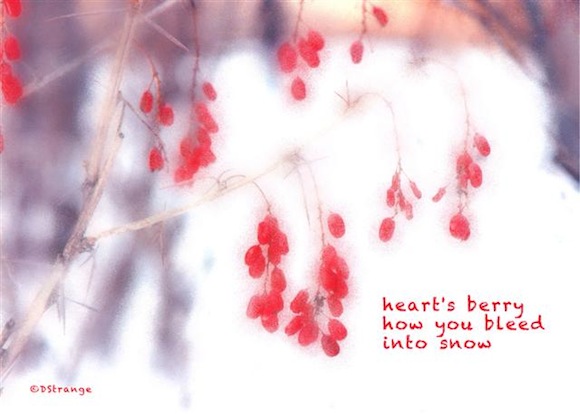 Heart's Berry (Small)